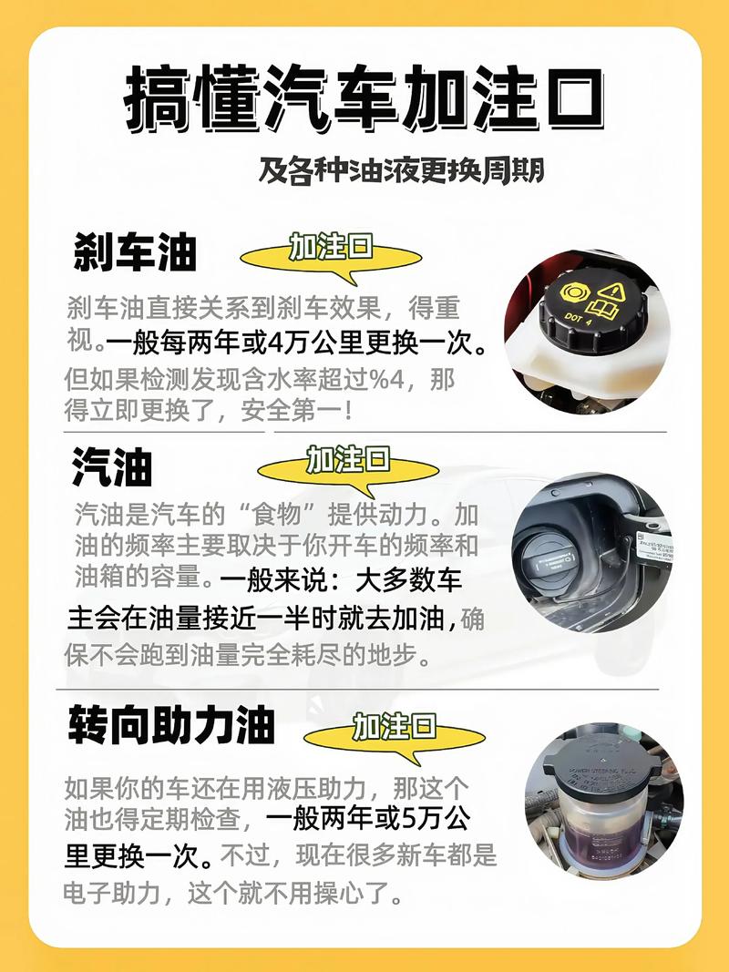 汽车维护知识